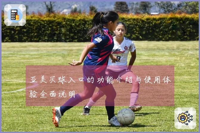 亚美买球入口的功能介绍与使用体验全面说明