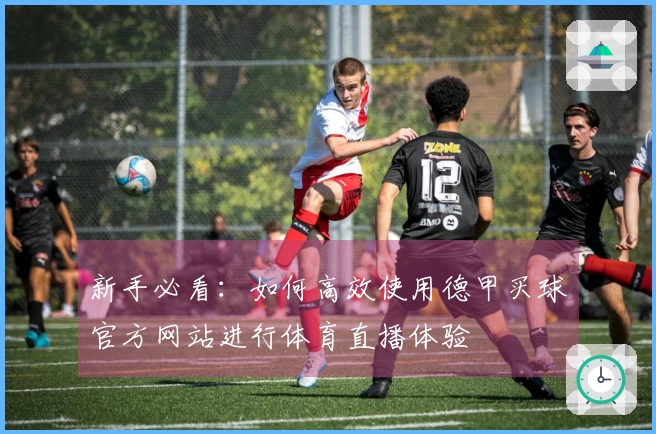 新手必看：如何高效使用德甲买球官方网站进行体育直播体验