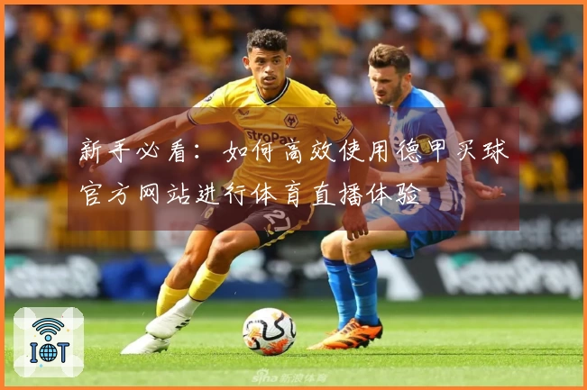 新手必看：如何高效使用德甲买球官方网站进行体育直播体验